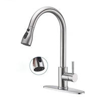 Nouveauté, robinet de cuisine facile à installer, mitigeur en acier inoxydable, robinet d'évier extractible, robinets d'évier de cuisine