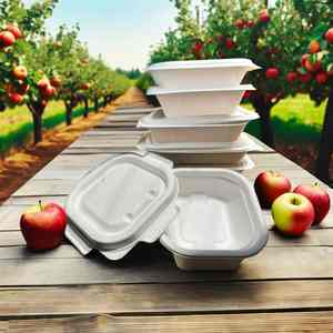 Boîtes de conservation alimentaire jetables écologiques carrées 1/2 tasse, laminage mat, gaufrage, boîtes en pulpe de papier durables pour les nouilles - Product Image 2