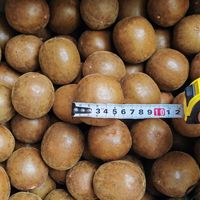 Supplier Grosir Herbal Buah Monk Kering Mentah AD Luo Han Guo dalam Jumlah Besar