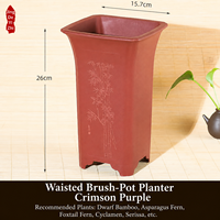 Pot Bunga Resin Persegi 15.7cm dengan Banyak Lubang Drainase Ramah Lingkungan Gaya Cina Sederhana untuk Penggunaan di Meja Taman dengan Anggrek Bonsai.
