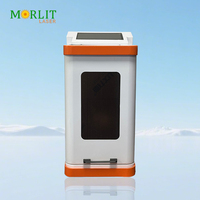 Machine de gravure laser Morlit Glass Crystal 2D 2.5D 3D Wood New AI Green Light Wavelength 532nm