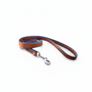 Laisse en cuir Tan 5 pieds, laisse pour chien petit et moyen, laisse pour chat - Product Image 1