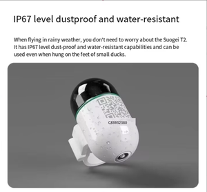 Mini traceur <span class=keywords><strong>GPS</strong></span> 4G pour oiseaux, étanche, bague pour pigeon, positionnement en temps réel GPRS LBS, bague intelligente en plastique, compatible <span class=keywords><strong>Android</strong></span> - Product Image 1