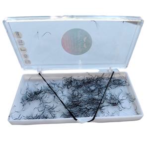 Cils en gros 4D/1000 coréen PBT Base pointue étroite Premade Fan Extension de cils usine Collé à chaud fabriqué à partir du Viet Nam - Product Image 1