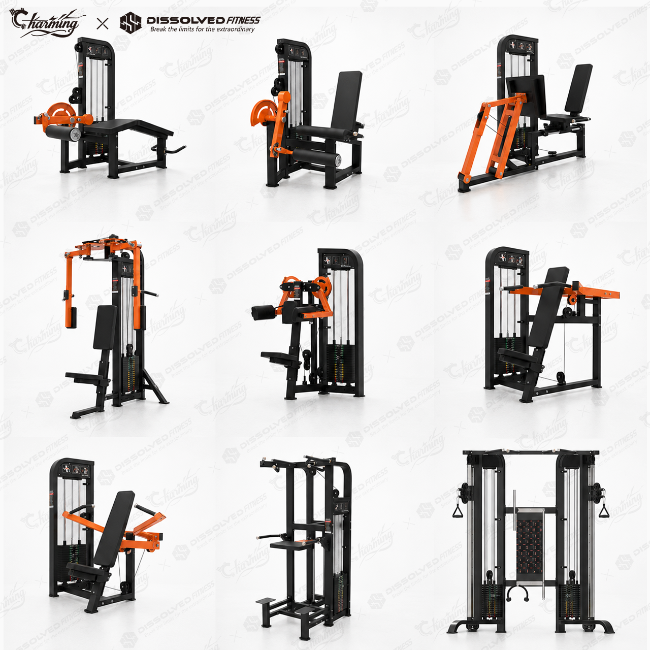 Body Building Hotel Cub Studio Full Gym All In One Sports Fitness Gym Fitness Store Pec Deck Fly Machine Gym Equipment Full Set