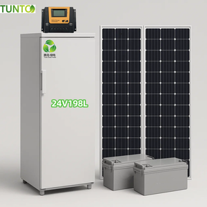 <span class=keywords><strong>Zambia</strong></span>家庭用高性能持続可能な24VDC 198L 11棚ソーラー直立冷凍庫完全セットシステム - Product Image 1