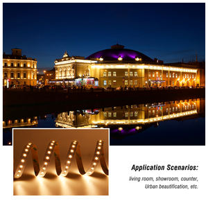 Iluminación LED Flexible, Tira de Luz LED Regulable de 24v, Flexible, SMD2835 3528, CCT Blanco - Product Image 5