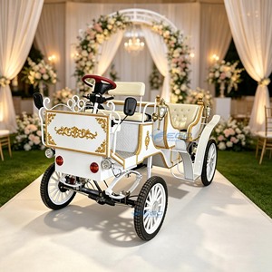 Low-priced selling two rows of sightseeing carriages, high-quality European Princess Cinderella electric carriage - Product Image 1