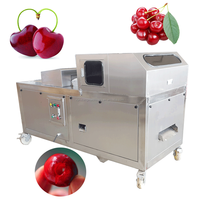 Grote Capaciteit Dadels Zaden Verwijderen Machine Olijf Date Cherry Core Remover Automatische Kersenbak Verwijderaar Machine