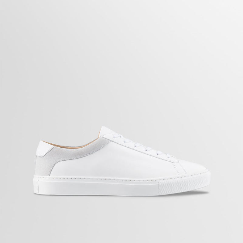 Color scheme Color 1