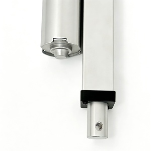 Actuador Lineal Sanitario de 300mm de Carrera para Procesamiento de Alimentos, Líneas de Clasificación, Nivelación y Lavado en el Sector Manufacturero - Product Image 4