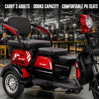 Tricycle électrique 3 places pour adultes, scooter électrique à 3 roues 60V 800W, scooter de mobilité avec éclairage LED et double suspension pour la famille