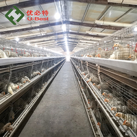 Cage à poulets de type H en acier de haute qualité, équipement agricole automatique neuf pour élevage de poulets de chair