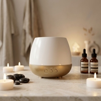 Diffuseur d'huiles essentielles à ultrasons, brume froide, purificateur d'air, diffuseur d'arômes pour l'aromathérapie, support OEM et ODM, diffuseur de parfum