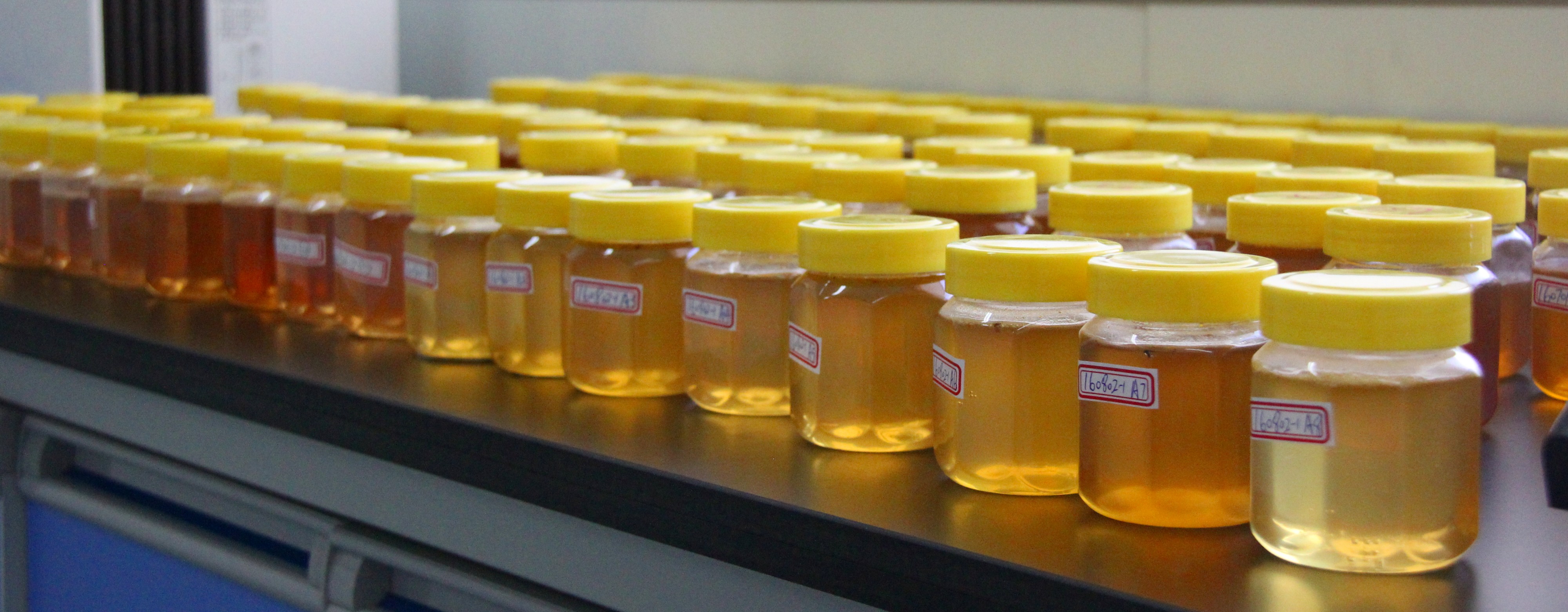 Bee Star 100% Natural Oak Honey Pure Raw Honey Organic Natural Bee Honey