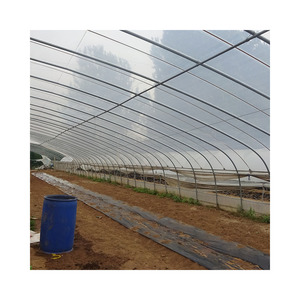 Factory wholesale plastic film galvanized skeleton pineapple banana cultivation greenhouse