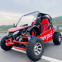 Kart à essence classique professionnel tout-terrain pour adultes – Buggy Kart pour extérieur, plage, boue et montagne – En promotion