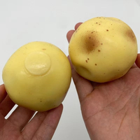 Balle anti-stress ASMR en forme de pomme de terre croustillante, jouet sensoriel à presser fait main rempli de perles rondes, jouet sensoriel pour soulager l'anxiété pour adultes