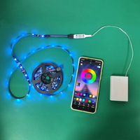 0,5m 1m 2m 3m 4m 5m 10m 15m Powerbank 5V USB Batteriebetriebene Wasserdichte LED-Streifenlichter Fernbedienung LED-Lichterkette