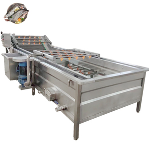 Ginger Bubble Washing Machine Fruit Vegetables Washing Machine Cleaning Fruit and Vegtable Machine - Product Image 2