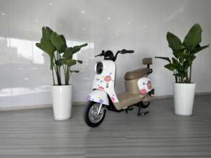 Scooter d'usine 2025, 450 watts, puissant, pour adultes, Thaïlande, Vietnam, Cambodge, moto à deux places - Product Image 5