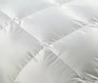 Couette intérieure super douce anti-agglomération de qualité hôtelière cinq étoiles pour chambre d'hôtel, de villégiature ou de famille, idéale pour le repos quotidien, parfaite pour l'ensemble de la literie hôtelière.