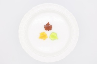 Bonbons gélifiés saisonniers aux feuilles d'automne, gommes au maple pour le festival d'automne et Thanksgiving, approvisionnement en gros