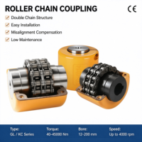 Accouplement de chaîne à rouleaux en acier rigide SFS Mining Special KC, personnalisable OEM, haute productivité pour les États-Unis et les imprimeries