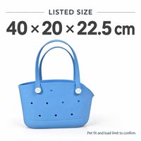 Sac de transport pour animaux de compagnie en EVA, style ouvert, sac à main léger et lavable pour petits chiens et chats, plage, voyage RJ25090