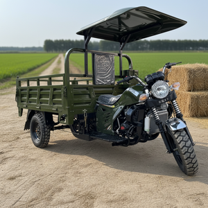 Triciclo de Carga 200cc para 1 Pasajero, Gasolina, Certificación EEC, Económico y Práctico, Autodescarga, Gran Capacidad, Venta Caliente en China 2026 - Product Image 1