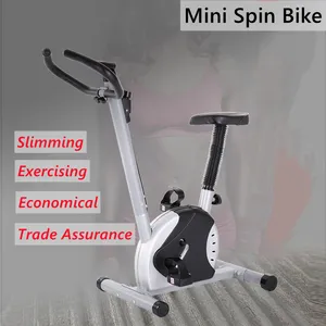 Neues Design Mini Cardio Training Spin Bike für Kinder und Frauen Home Gym Übung Spinning Bike Mini