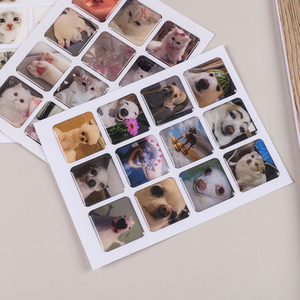 Paquete de Pegatinas de <span class=keywords><strong>Gatos</strong></span> y Perros con <span class=keywords><strong>Memes</strong></span> Lindos, Calcomanías de PVC Impermeables para Diario, Agenda, Álbum de Recortes, Laptop, Botella de Agua, Decoración - Product Image 5