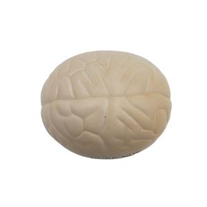 Jouet sensoriel en forme d'organe de balle anti-stress cérébrale spongieuse personnalisée pour enfants adultes soulagement de l'anxiété jouet Fidget amusant à presser - Product Image 4