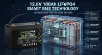 Batterie LiFePO4 OEM personnalisée 12V 100Ah à décharge profonde, 4000+ cycles, étanche, pour camping-car, remplacement de batterie au plomb-acide