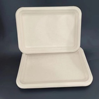 Plateau alimentaire jetable de 14 pouces plateau d'écrevisses en pulpe de canne à sucre assiette en papier compostable pour barbecue Thanksgiving