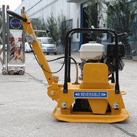 Compacteur à plaques vibrantes mini réversible certifié CE, 175 kg, pour le compactage des sols municipaux