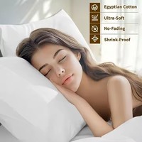 Parure de Draps 100% Coton Blanc pour Hôtels, Linge de Lit en Coton