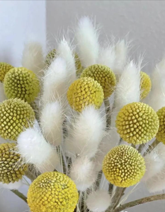2024 Hot Selling Dried Golden Ball Bouquet Dried Golden Ball <strong>Billy</strong> Button for Home Decoration - Product Image 4
