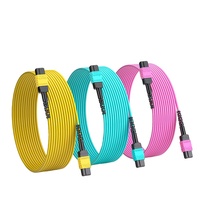 Kabel Patchcord Jumper Fiber MPO-MPO 8/12/24 Core 10G/40G/100G SM/MM OM3/OM4 dengan Panel Patch Data Center TCP/GSM/POE