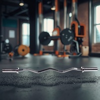 Pesas libres Gimnasio Ejercicio Cojinete Barbell Transfronterizo para barra Barra recta del fabricante Barra curva para prensa de banco