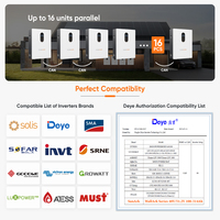 Batterie solaire LiFePO4 murale Sunark pour la maison, 51,2 V, 5 kWh, 10 kWh, 16 kWh, pour la sauvegarde d'énergie et l'utilisation quotidienne.