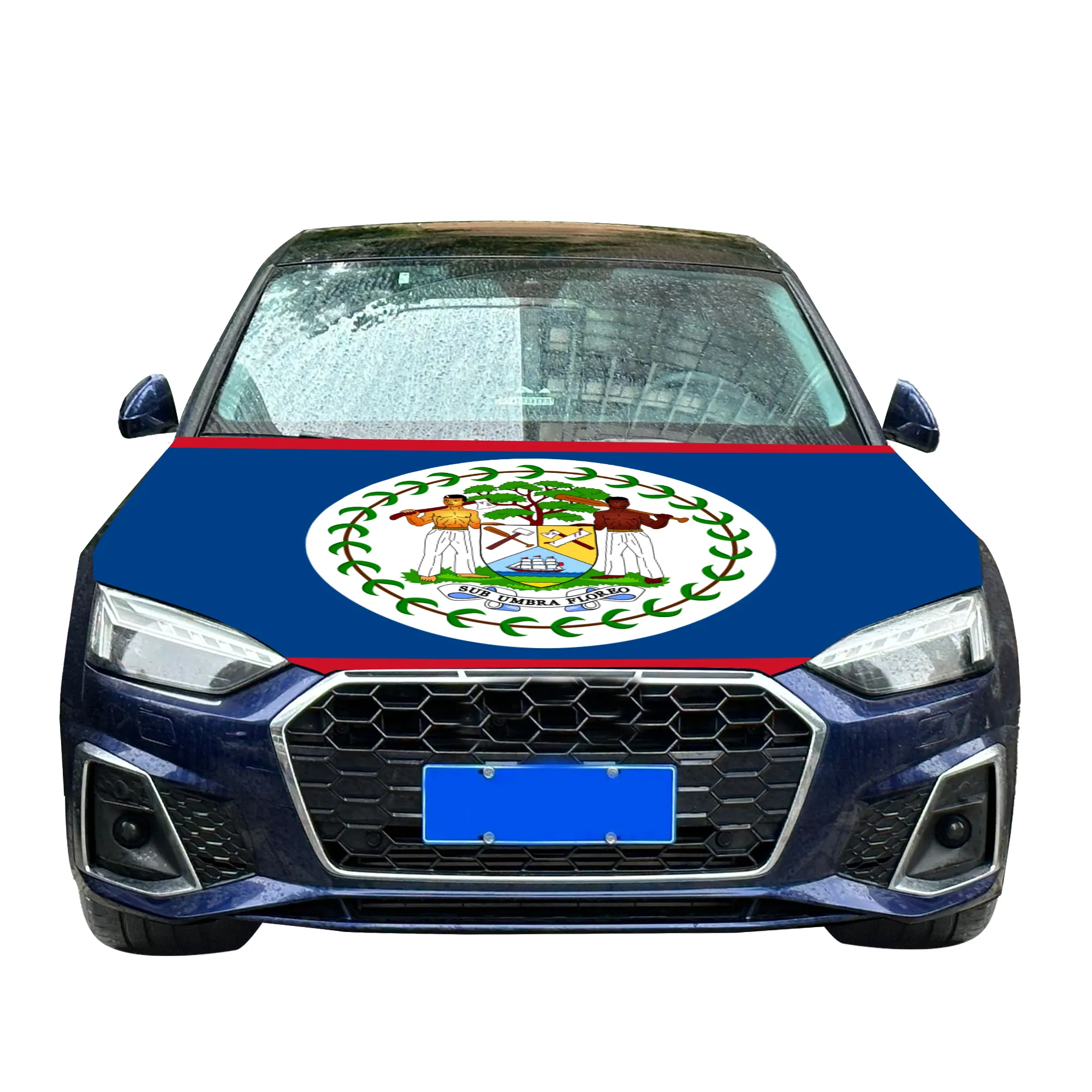 Bandiera nazionale del cofano dell'auto con bandiera della copertura del motore dell'auto con effetto di stampa a trasferimento termico tessuto elastico di dimensioni personalizzate