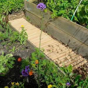 Suelo de Madera SHENGCHENG para Exteriores, Patio, Camino, Villa, Pasarela, Jardín - Product Image 3