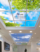 Panneau LED 600*600MM de l'usine de Jiaxing, éclairage de plafond ciel bleu 3 tons, panneau LED ciel éclairé 2x2FT, panneau de plafond 595x595MM