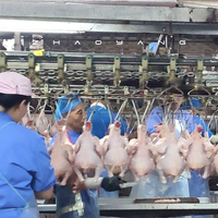 Équipement de ligne de production de volaille sur mesure Machine d'abattage de poulet avec composants de noyau de moteur de roulement de pompe à moteur