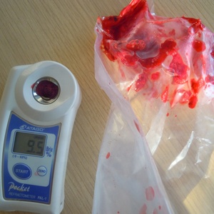 Chất Lượng Cao Số Lượng Lớn Giá Bán Buôn Mâm Xôi Bị Mâm Iqf Tươi Đông Lạnh Mâm Xôi Mâm Xôi Trái Cây Từ Trung Quốc Nhà Máy - Product Image 5