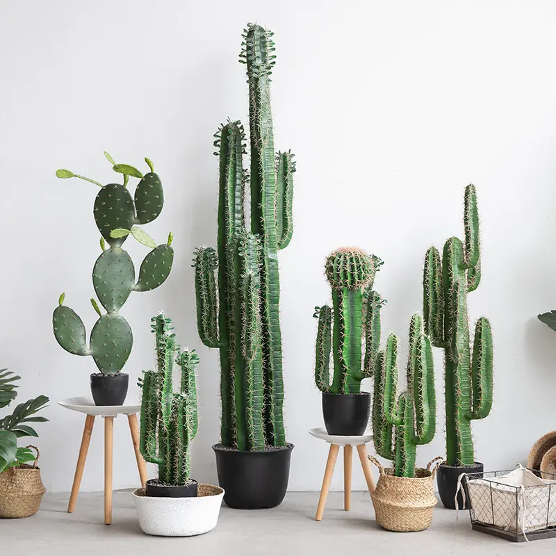 Groothandel Tuin Alle Soorten Cactus Namen Planten Kunstmatige Cactus Boom Voor Indoor Groene Grote Outdoor Bonsai Bomen