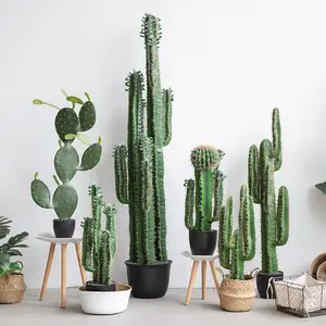 Forniture da giardino all'ingrosso tutti i tipi di nomi di Cactus piante albero di Cactus artificiale per interni verdi grandi alberi Bonsai all'aperto