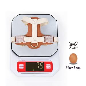 Set di Collare e Guinzaglio in Vera Pelle per Cani e Gatti di Piccola Taglia, Produzione Transfrontaliera, Moda per Tutte le Stagioni - Product Image 4