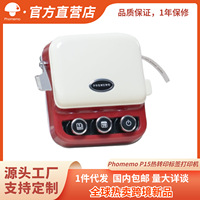 Impresora de Etiquetas P15 de 58 mm, Portátil, Mini, Inteligente, con Tipo-C, 203DPI, Compatible con IOS/Android/Windows, para Almacenamiento de Diarios